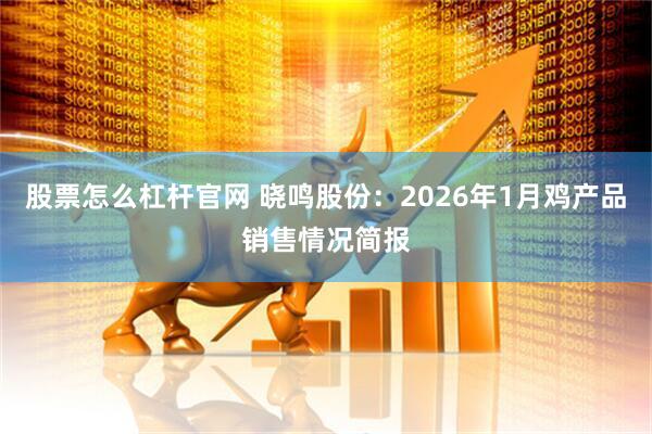 股票怎么杠杆官网 晓鸣股份：2026年1月鸡产品销售情况简报